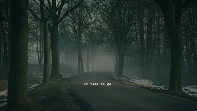 A road runs between leafless trees into fog, a short line of small type sitting near the bottom of the frame.