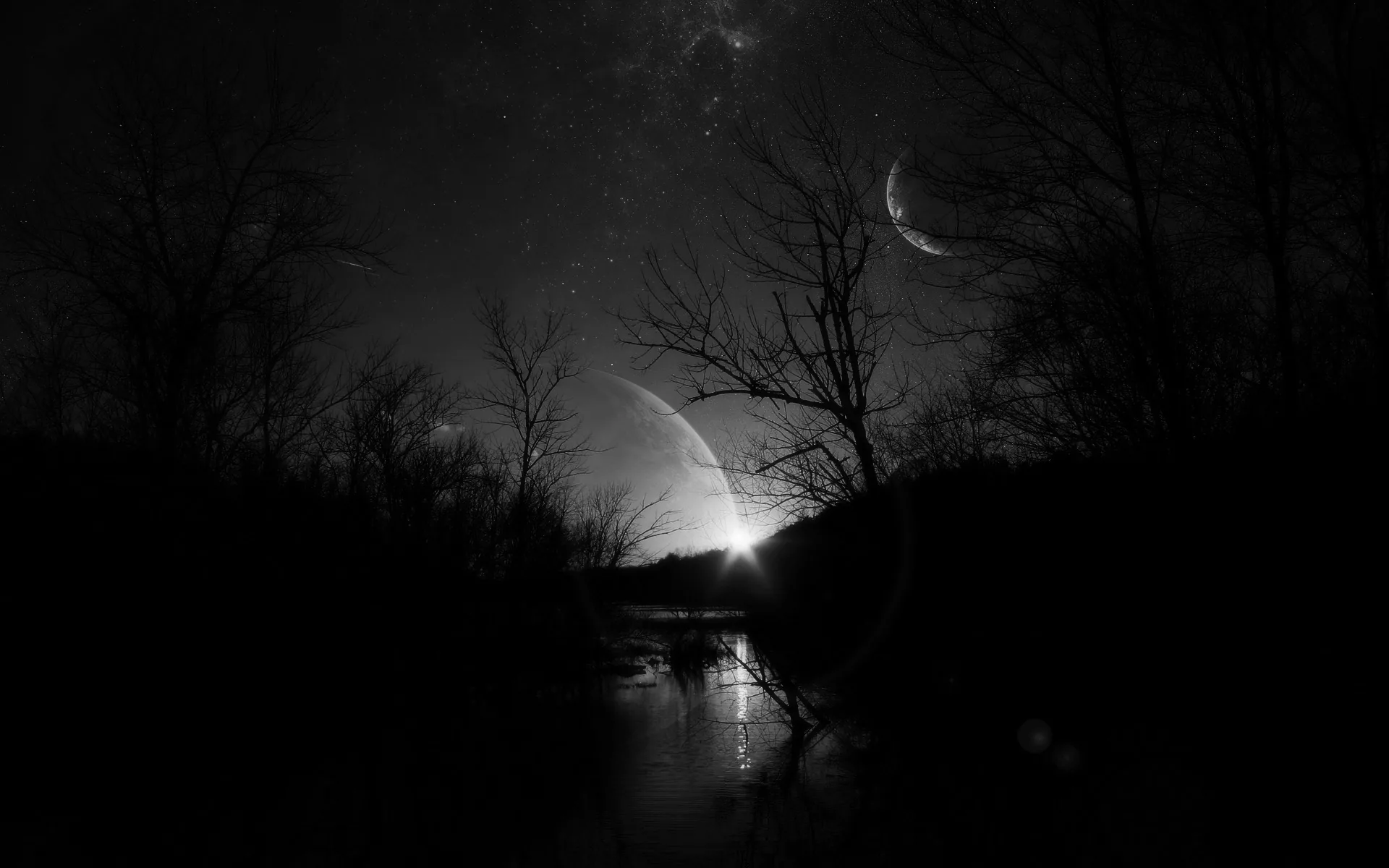 A crescent and a large planet hang above bare trees, their light running down a narrow strip of water.