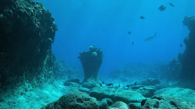 Underwater rock outcrops flank a stony channel fading into open blue, fish silhouettes drifting near the bright surface above.
