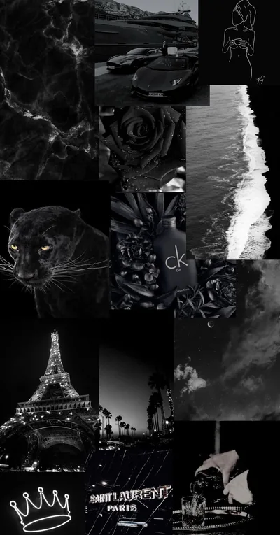 A tight grid of black and white shots — a panther, a rose, the Eiffel Tower, a shoreline — packed with no gaps.