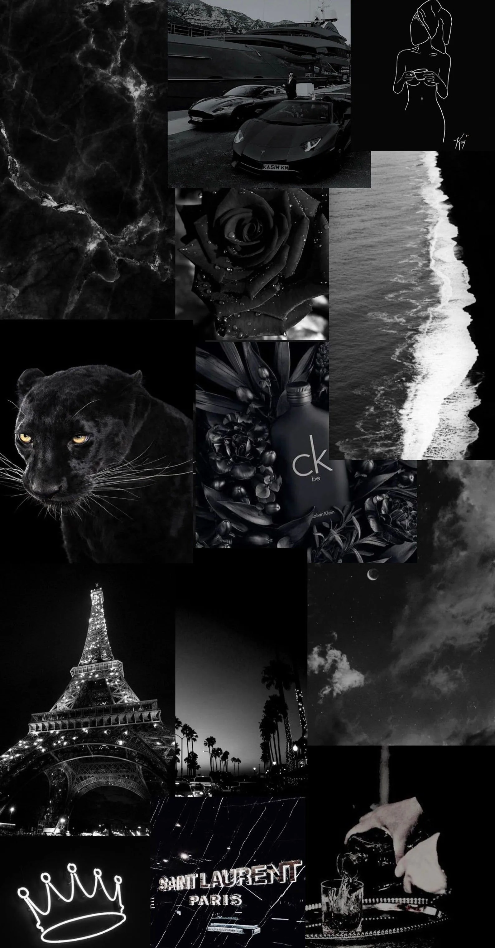 A tight grid of black and white shots — a panther, a rose, the Eiffel Tower, a shoreline — packed with no gaps.