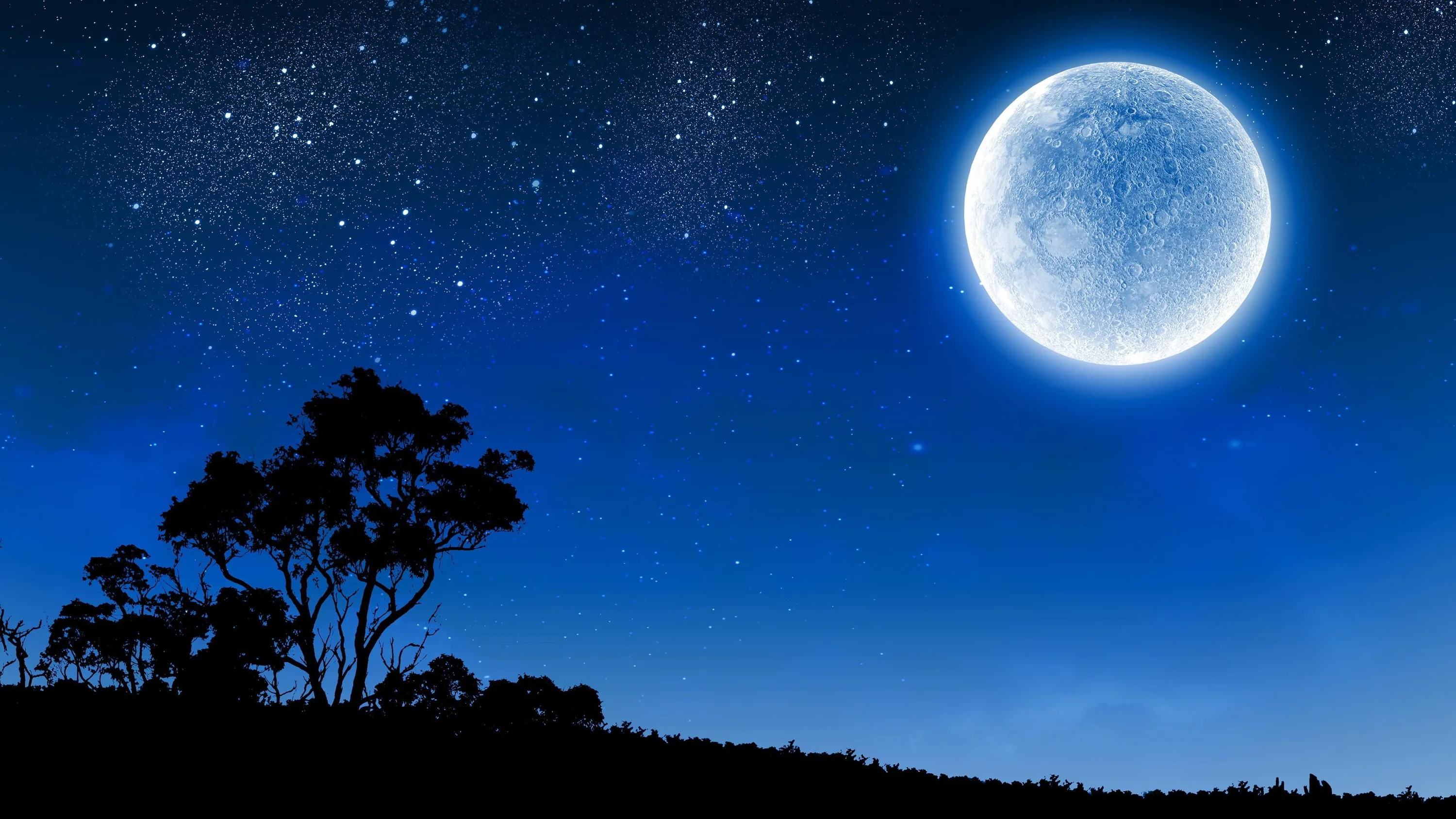 A bright moon lights a navy sky above a lone tree silhouetted on a hillside, the open centre of the frame clear for widgets.