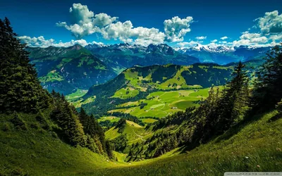 From a steep grassy gully the view drops to farm-dotted valleys and climbs again to snow-tipped ranges under bright cumulus clouds.