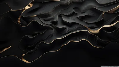 Sculpted black ridges flow across the frame, their edges traced in thin gold.