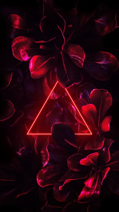 A red triangle outline glows among black petals and leaves, most of the frame falling to near-black — deep reds that suit an OLED phone screen.