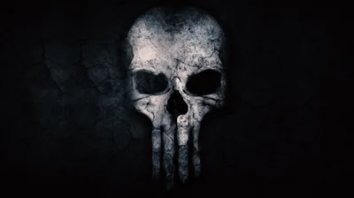 A cracked, dusty skull with four long teeth looms out of black, lit from above so the eye sockets stay in shadow.