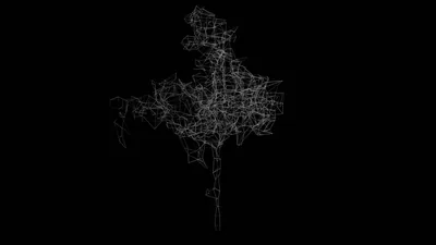 A dense tangle of streets traced in thin white lines forms a rough branching shape, one long road running down into empty black.