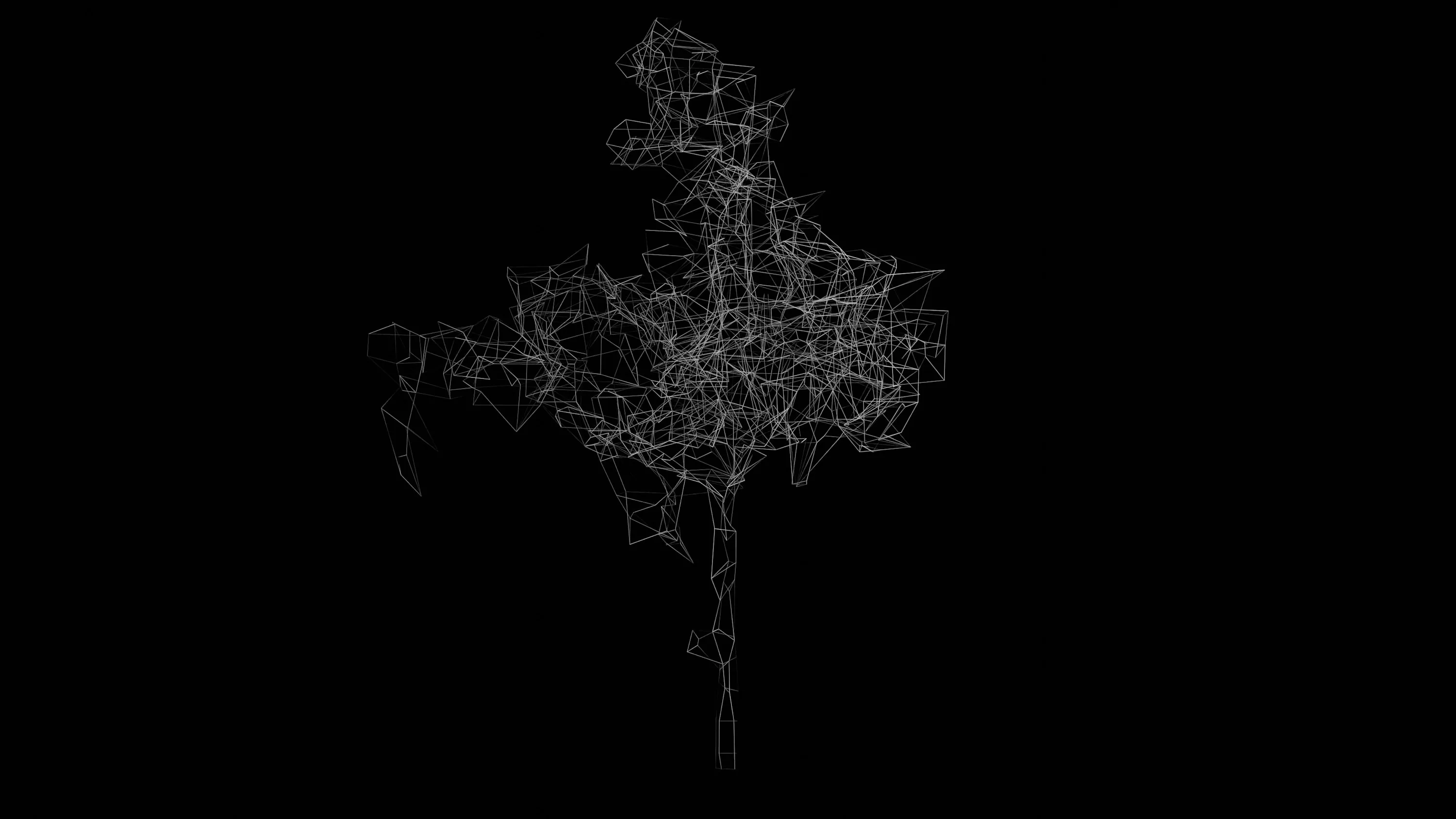 A dense tangle of streets traced in thin white lines forms a rough branching shape, one long road running down into empty black.