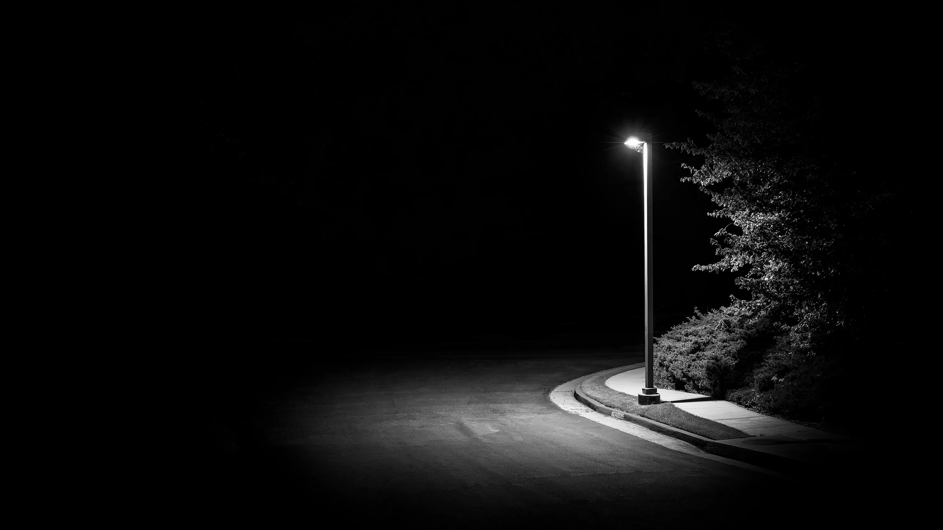 Black and white street photography: a single lamp lights a curve of empty road, the hedge beside it half visible.