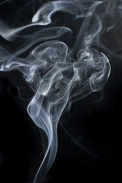 A plume climbs the centre of a tall frame and fans out near the top, its lower stem thin enough to leave the corners black.