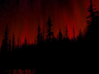 A red aurora bleeds through a starry sky above jagged pine silhouettes, the treeline dissolving into pure black along the bottom edge.