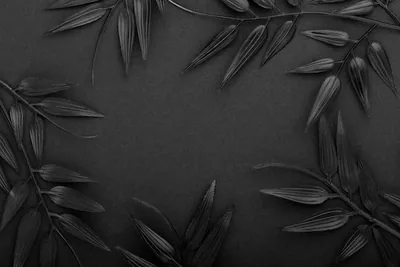 Bamboo sprigs painted matte black frame the top and bottom corners of a textured dark card, the middle deliberately left empty.