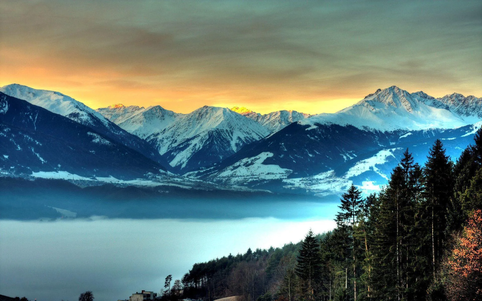 A snow-tipped range floats above dense valley fog under an amber sky, dark firs on the right framing the view from a hillside.