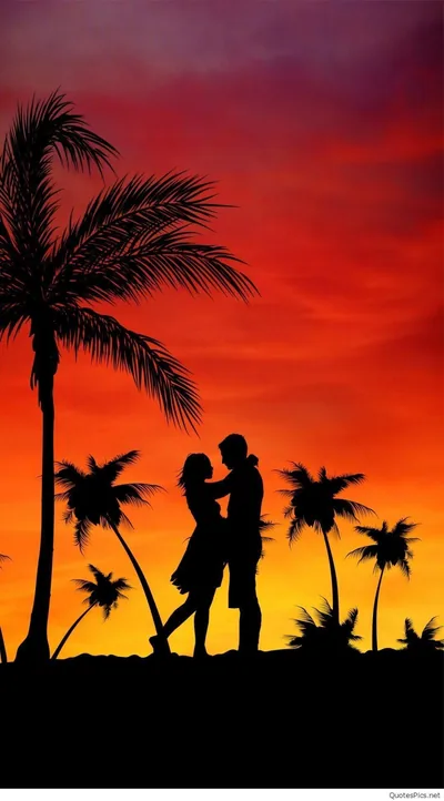 A pair face each other on a ridge of palms, cut black against an orange and crimson sky that fades to deep red overhead.