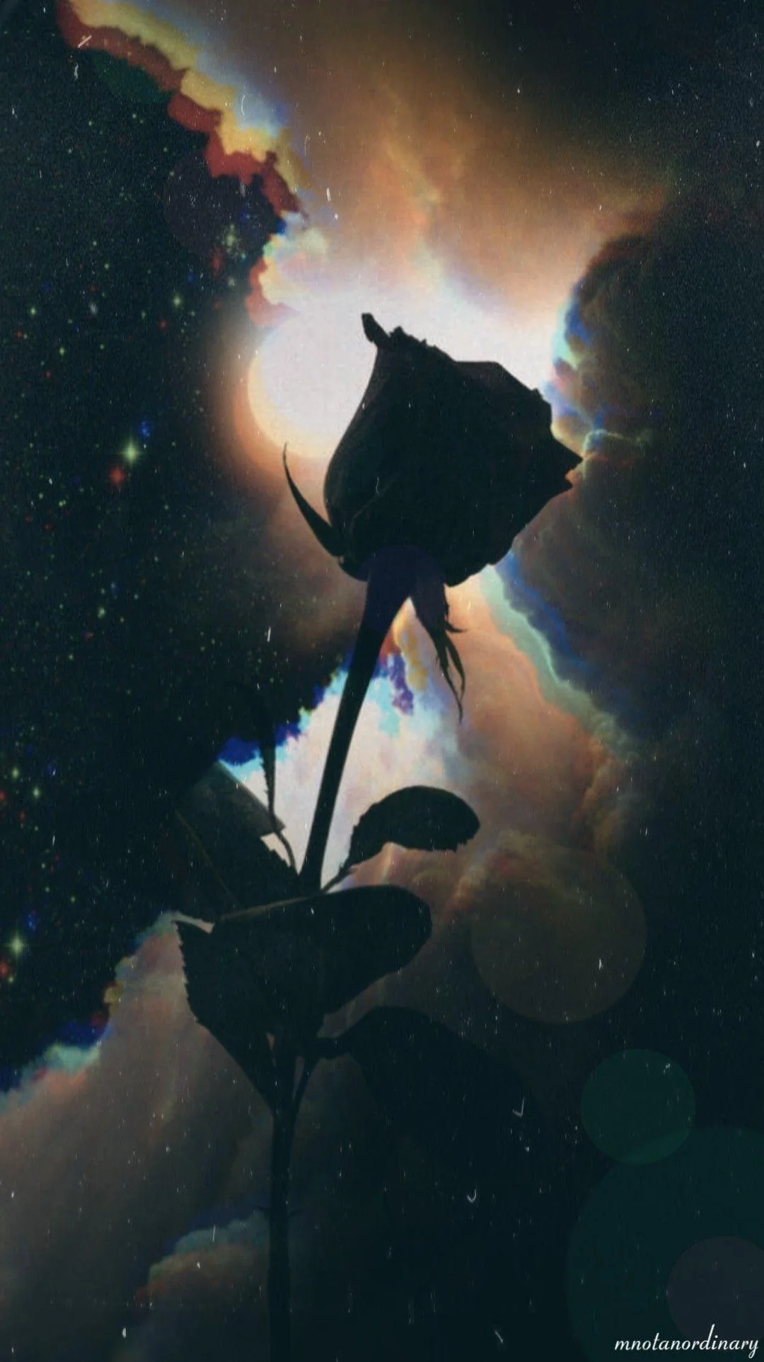 A rose in full silhouette blocks the light behind it, prismatic light-leak streaks running down the frame like scratched film.