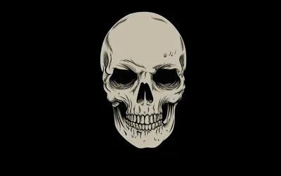 A flat bone-coloured skull drawn with clean lines, alone in the middle of the frame with no shading and no background detail.