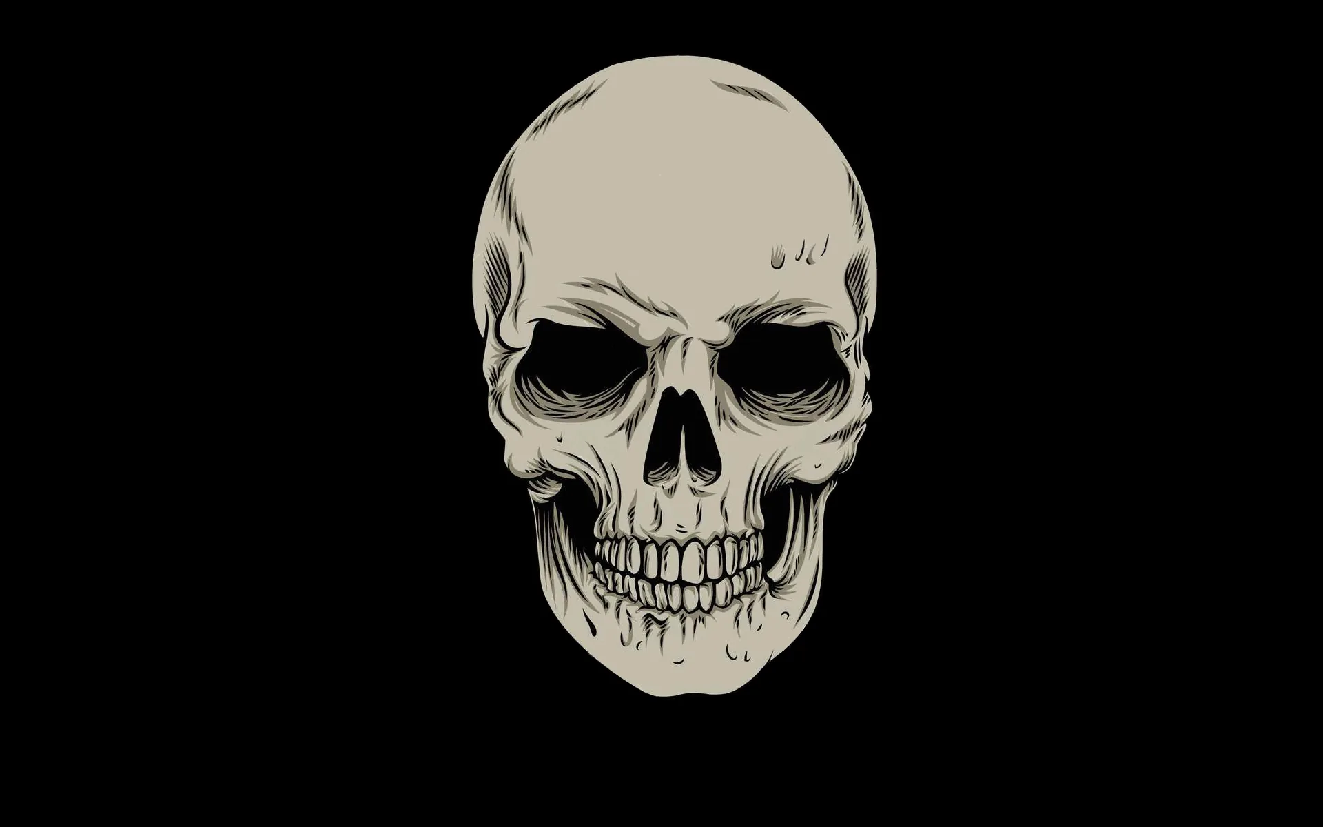 A flat bone-coloured skull drawn with clean lines, alone in the middle of the frame with no shading and no background detail.