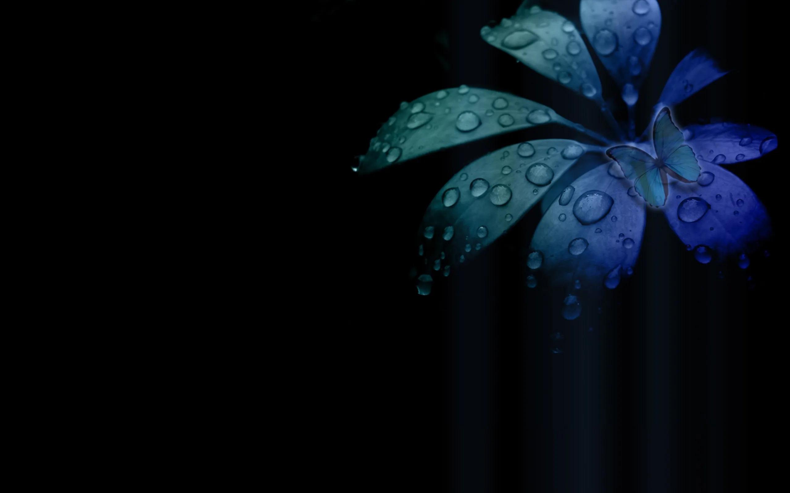 A single leaf lit blue and teal sits in the right half of the frame, rain beaded across it and the left side black.