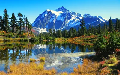 Orange grasses and turning trees ring a shallow pond reflecting a glacier-hung peak, the deep blue sky along the top kept completely clear.