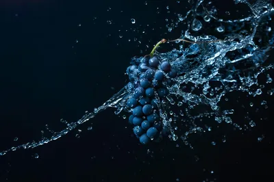 A bunch of dark grapes bursts through a sheet of water, droplets frozen mid-air against a deep blue background with the left side left plain.