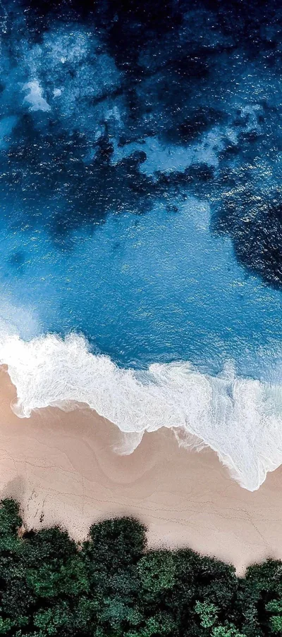 Seen straight down, a band of white foam crosses the middle where dark blue sea meets pale sand, treetops edging the bottom of the frame.