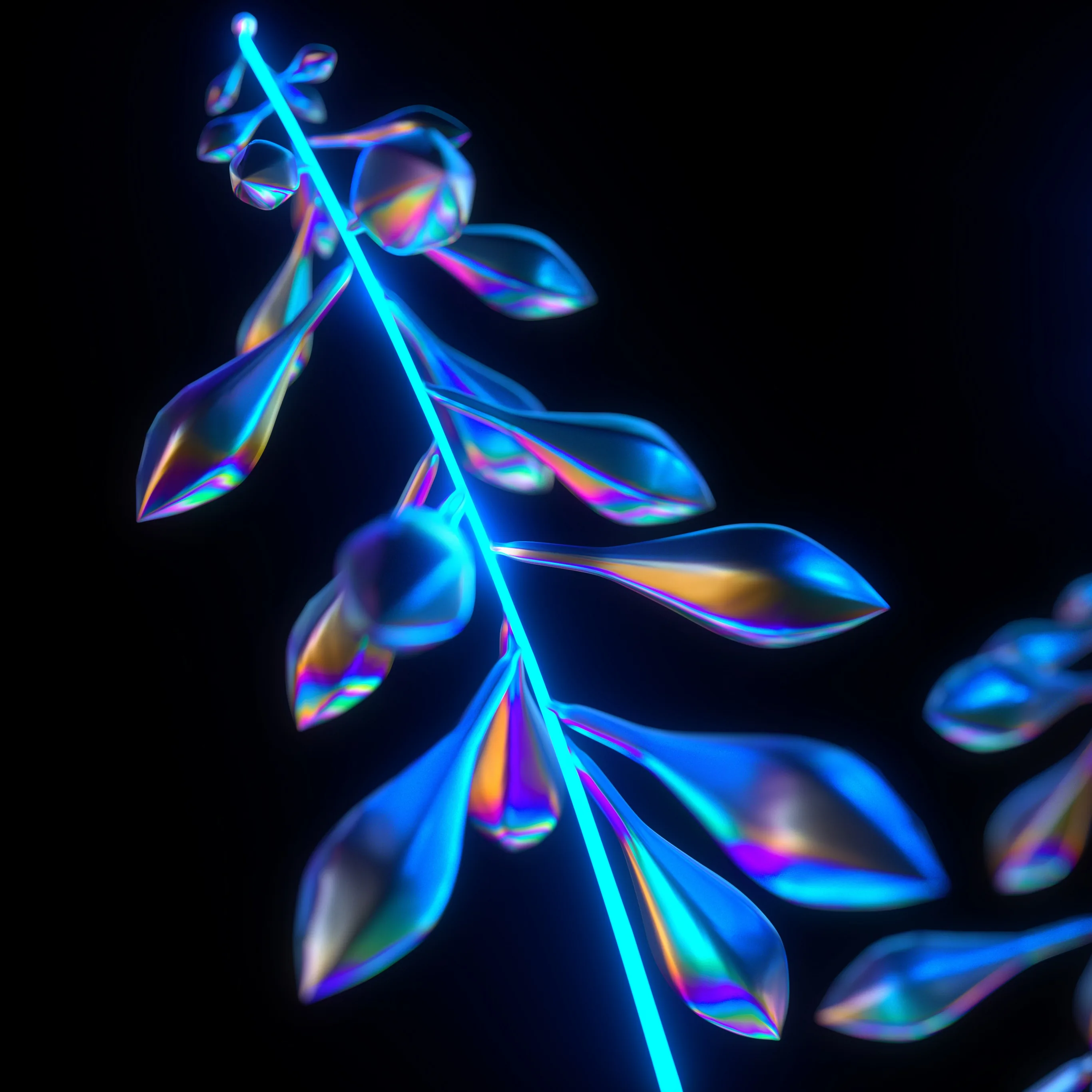 A branch of translucent leaves glows in rainbow blues and violets, its stem a thin line of light against pure black.