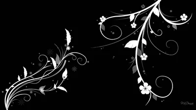 Curling white vines and small blossoms sweep in from both bottom corners across solid black, thin sparks trailing off the ends of each swirl.