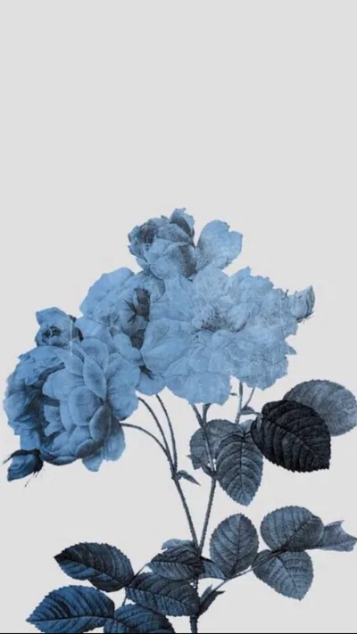 An engraved rose cluster blooms in powder blue with leaves inked almost black, the upper third left as plain pale grey where a clock sits cleanly.