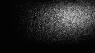 A pebbled grey-black surface catches a wide pool of light on the right, the left third of the frame left completely dark.