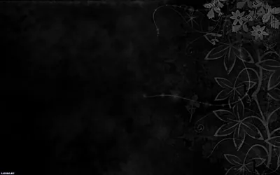 Pale outlined blossoms and vines climb the right edge of a smoky black frame, thinning as they cross toward the empty left side.