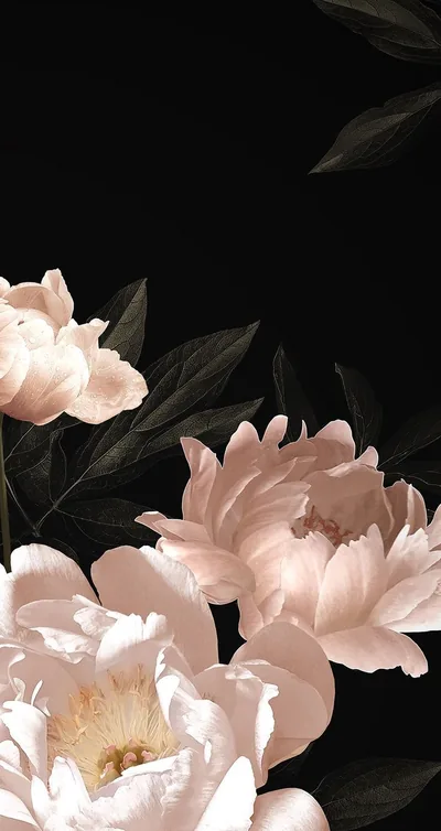 Soft pink peonies stack up the lower two-thirds of a tall frame, the top left corner left black for a clock.