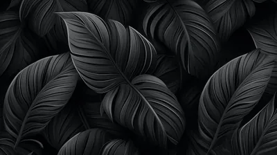 Broad tropical leaves overlap across the whole frame in matte black, each vein raised enough to catch a sidelight.
