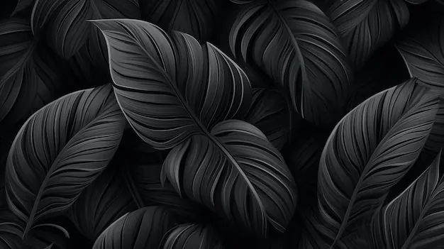 Broad tropical leaves overlap across the whole frame in matte black, each vein raised enough to catch a sidelight.