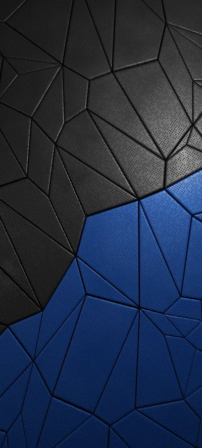 A leathery surface split into irregular polygon plates, black across the upper half and cobalt below, the crack lines running edge to edge.