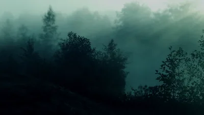 Thin trees along a ridge fade into blue-grey fog, a shaft of light dropping in from the top right while the slope below stays black.