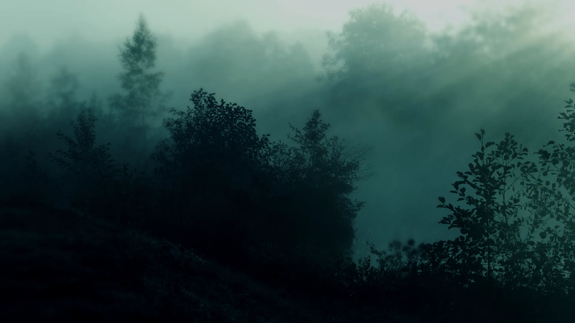 Thin trees along a ridge fade into blue-grey fog, a shaft of light dropping in from the top right while the slope below stays black.
