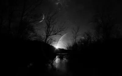 Bare branches frame a river at night, a crescent moon and a large planet low over the far bank.