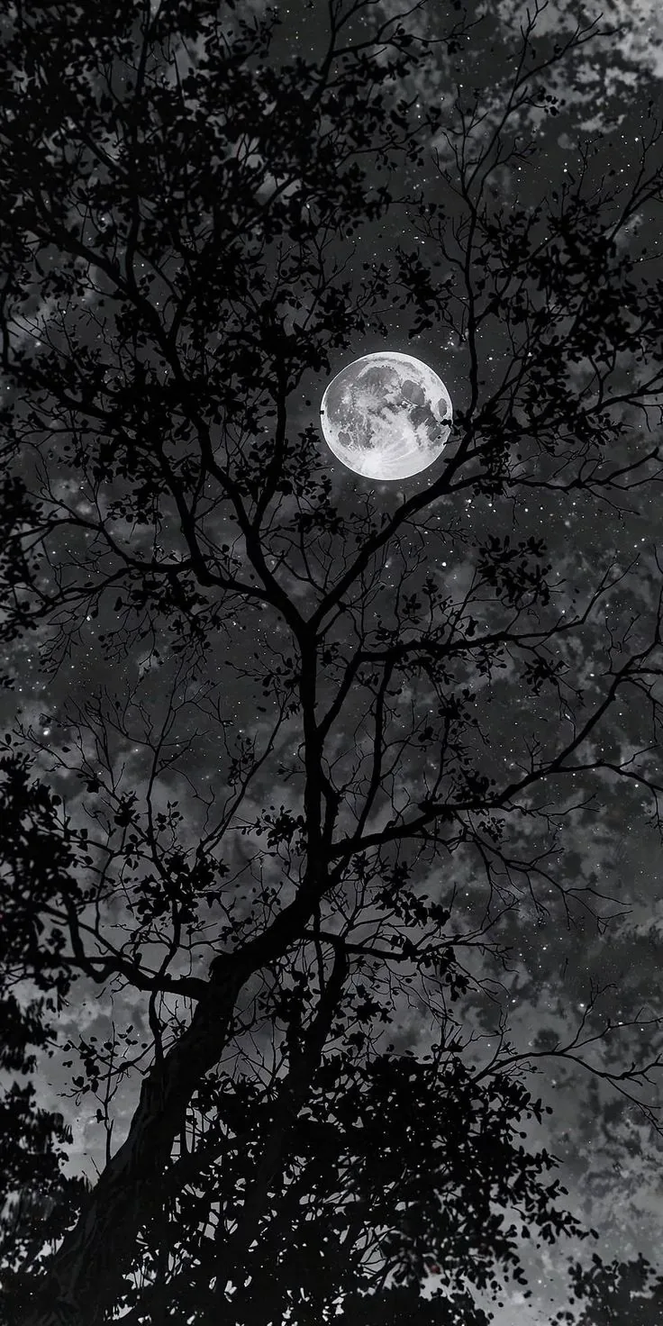 A small bright moon shows through a lattice of dark leaves in the upper left, the branch shadows keeping the rest of the frame dim.
