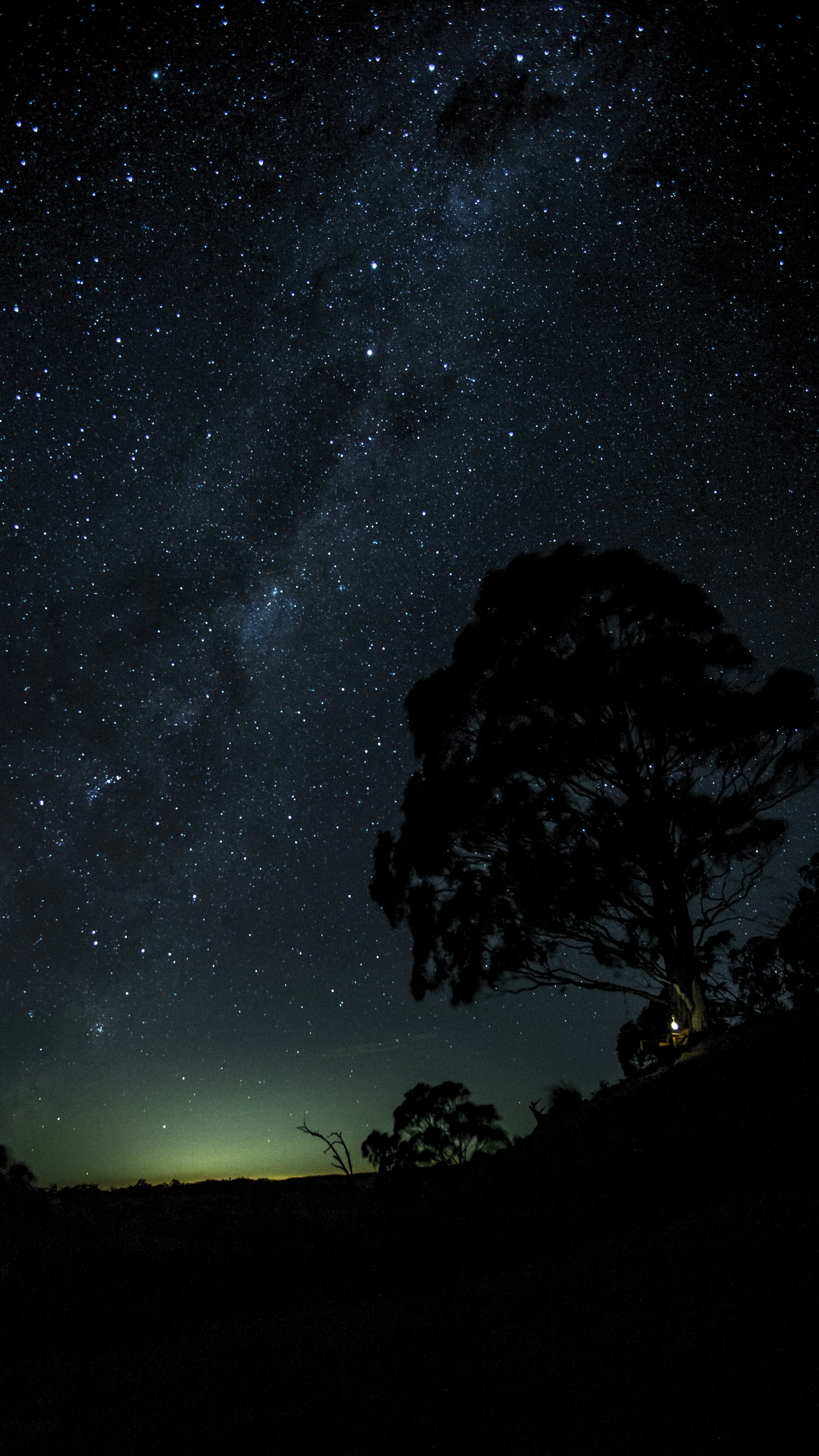The Milky Way arcs across the top of the frame while a single tree stands in silhouette at the right, a thin green airglow just above the horizon.