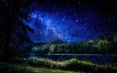 Stars and the Milky Way hang over a black forested shoreline, lit grass in the foreground giving the night scene its only green.