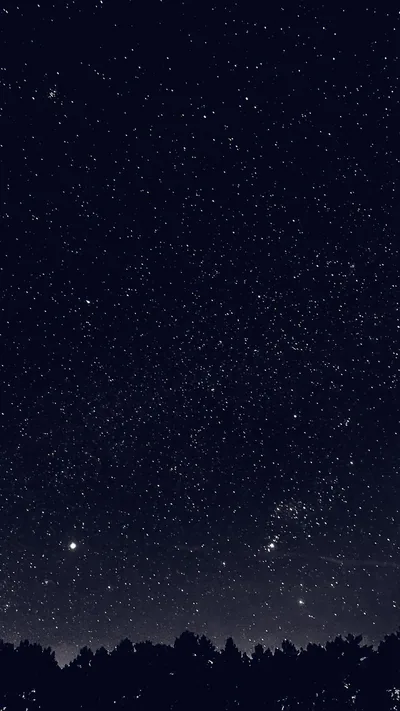 Thousands of small stars fill a deep navy sky above a black treeline, the densest patches sitting low near the horizon glow.
