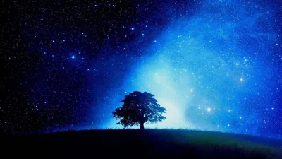 A lone tree stands silhouetted on a dark hilltop, backlit by a pale glow that spreads upward into a deep blue, star-filled sky.