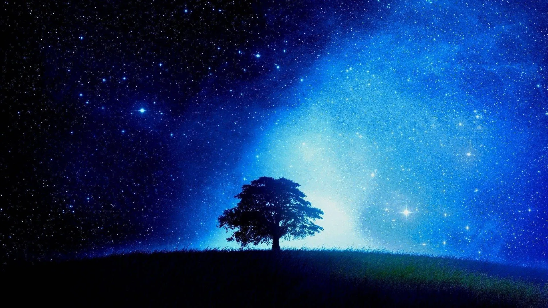 A lone tree stands silhouetted on a dark hilltop, backlit by a pale glow that spreads upward into a deep blue, star-filled sky.