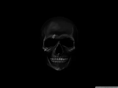 A skull sits centred in near-black, light touching only the brow, cheekbones and the row of teeth.