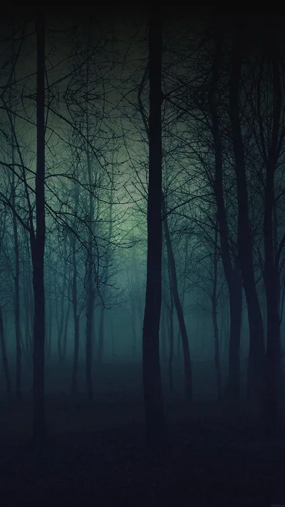Bare tree trunks stand in layers of fog, a pale green glow seeping through the centre; near-black corners keep AMOLED power draw low.