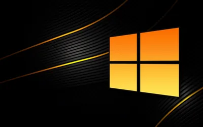 A bright orange window mark sits on the right against fine black stripes, thin gold curves running out to the left.