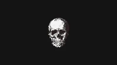 A rough-textured white skull sits small at the centre of a wide black frame, shadow eating its left side.