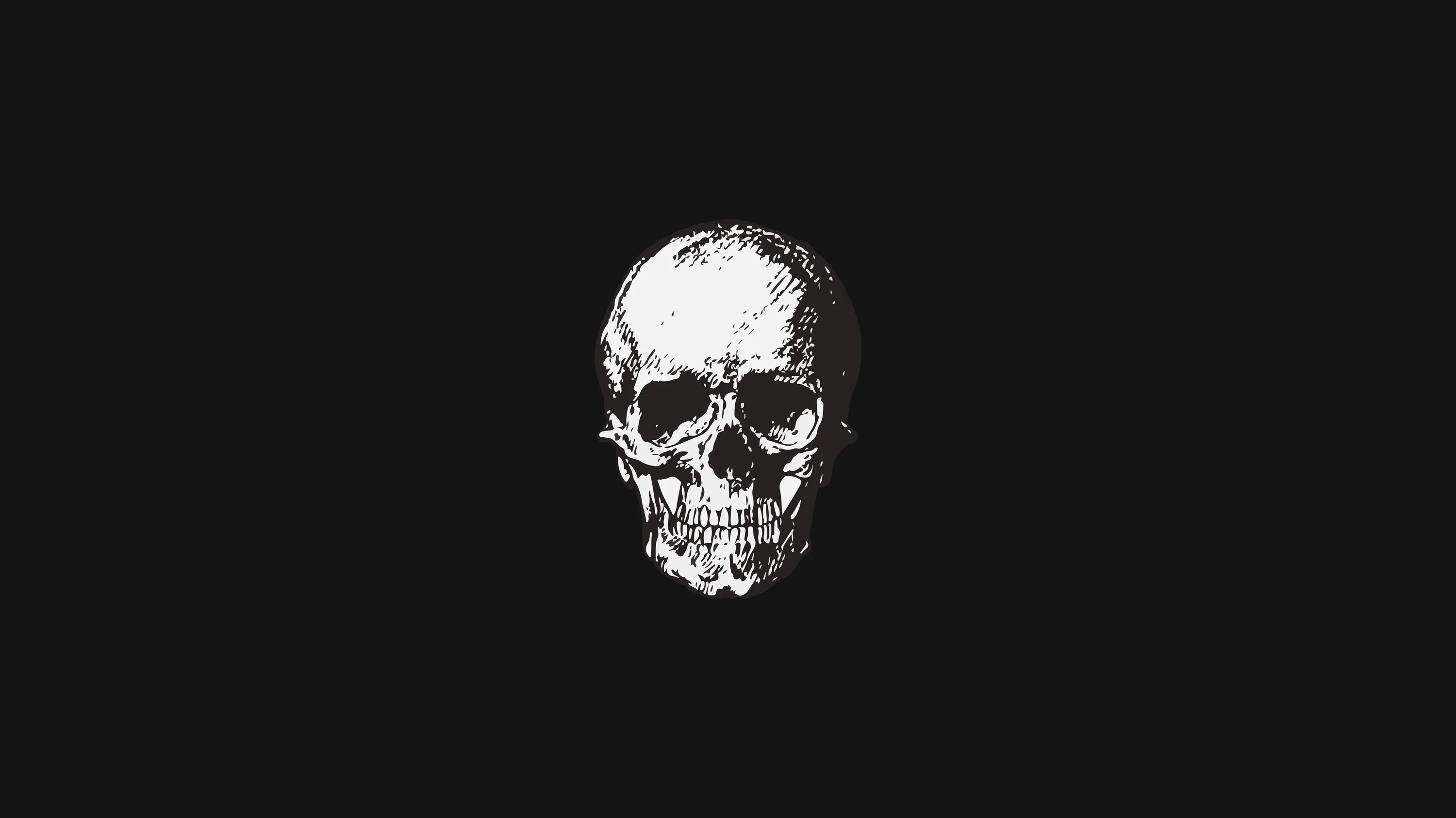 A rough-textured white skull sits small at the centre of a wide black frame, shadow eating its left side.