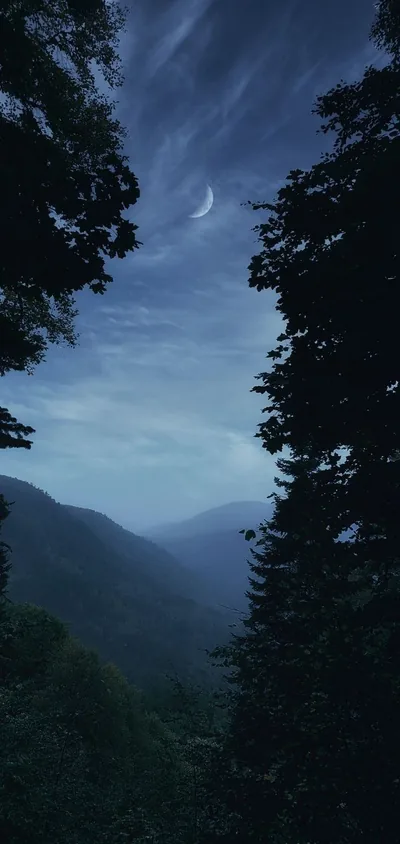 A thin crescent moon hangs over a mist-filled valley framed by black pine silhouettes, the dark edges keeping app icons readable along both sides.