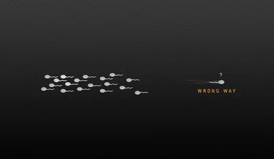 A tight shoal of pale fish swims one way across a dark grey field while a single one heads back, two small words set beside it.